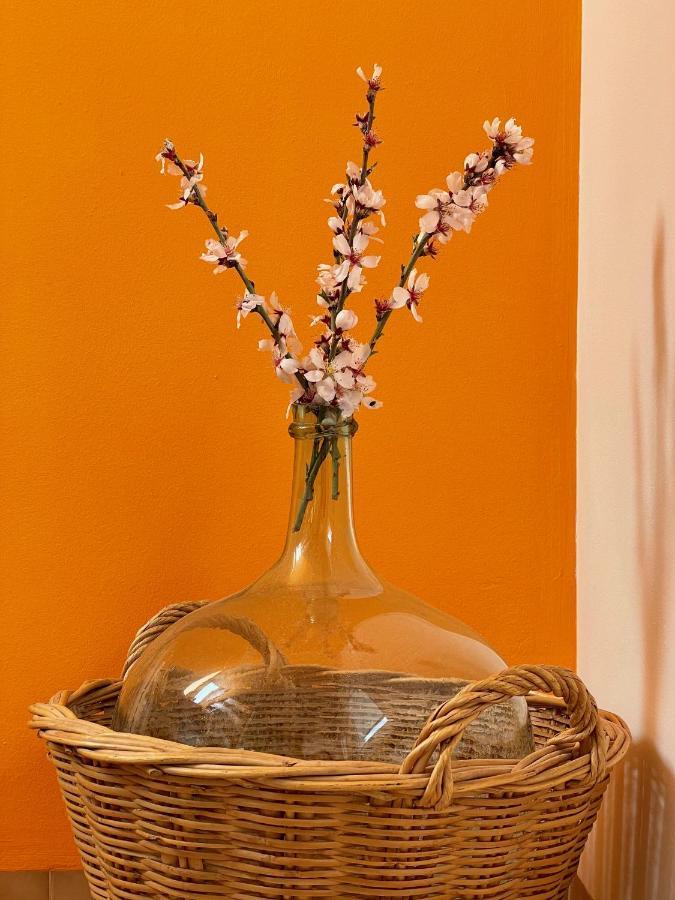 Ca Blai De Brull En El Centro De Tivissa Apartment Екстериор снимка